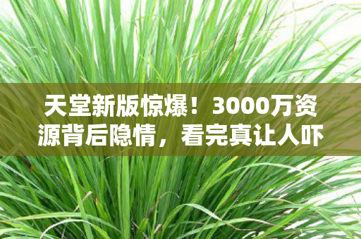 天堂新版惊爆!3000万资源背后隐情,看完真让人吓一跳! 天堂新版惊爆!3000万资源背后隐情,看完真让人吓一跳!