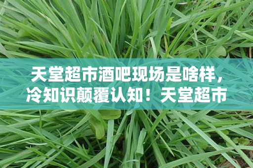 天堂超市酒吧现场是啥样,冷知识颠覆认知!天堂超市酒吧暗藏玄机,真相让人目瞪口呆 天堂超市酒吧现场是啥样,冷知识颠覆认知!天堂超市酒吧暗藏玄机,真相让人目瞪口呆
