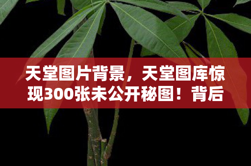 天堂图片背景,天堂图库惊现300张未公开秘图!背后藏着怎样的情感风暴? 天堂图片背景,天堂图库惊现300张未公开秘图!背后藏着怎样的情感风暴?