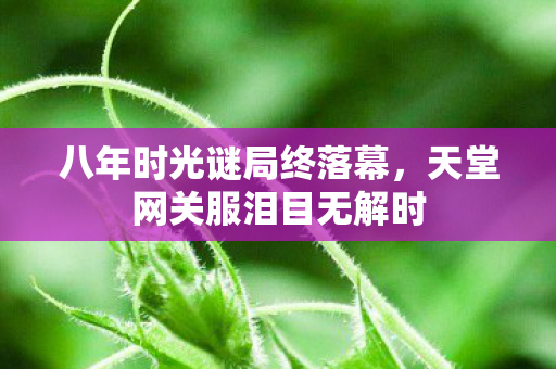 八年时光谜局终落幕,天堂网关服泪目无解时 八年时光谜局终落幕,天堂网关服泪目无解时