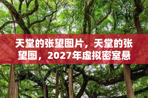 天堂的张望图片,天堂的张望图,2027年虚拟密室悬案,玩家集体失踪背后的毛骨悚然真相 天堂的张望图片,天堂的张望图,2027年虚拟密室悬案,玩家集体失踪背后的毛骨悚然真相