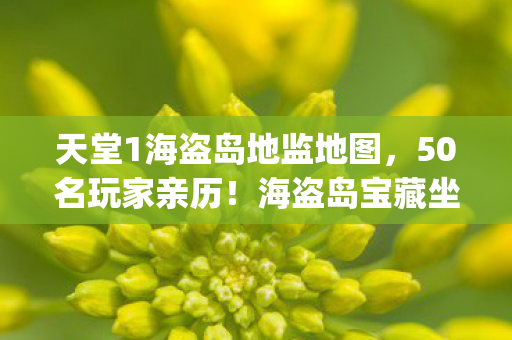 天堂不相信眼泪全集完整版，从巅峰到谷底的落差，真相揭晓时笑着笑着就哭了