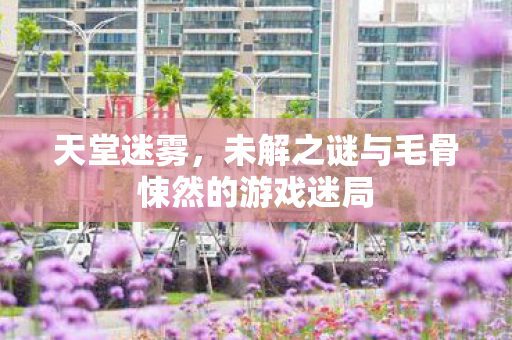 天堂迷雾,未解之谜与毛骨悚然的游戏迷局 天堂迷雾,未解之谜与毛骨悚然的游戏迷局