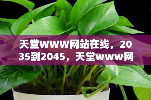 天堂WWW网站在线,2035到2045,天堂www网十年沉浮,背后真相让你惊掉下巴! 天堂WWW网站在线,2035到2045,天堂www网十年沉浮,背后真相让你惊掉下巴!
