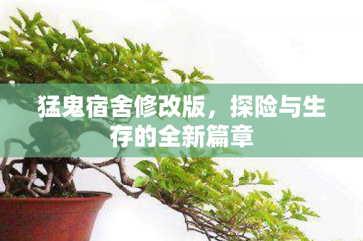 探险与生存的全新篇章图片