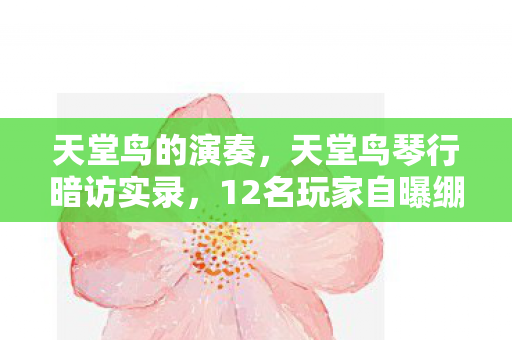 天堂鸟的演奏,天堂鸟琴行暗访实录,12名玩家自曝绷不住瞬间,疑点重重引深思 天堂鸟的演奏,天堂鸟琴行暗访实录,12名玩家自曝绷不住瞬间,疑点重重引深思