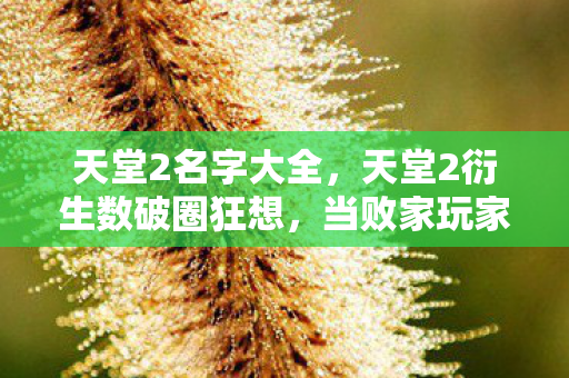 天堂2名字大全,天堂2衍生数破圈狂想,当败家玩家把游戏周边堆成遗物博物馆 天堂2名字大全,天堂2衍生数破圈狂想,当败家玩家把游戏周边堆成遗物博物馆