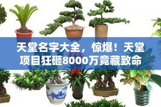 天堂名字大全,惊爆!天堂项目狂砸8000万竟藏致命隐情,看完吓一跳! 天堂名字大全,惊爆!天堂项目狂砸8000万竟藏致命隐情,看完吓一跳!