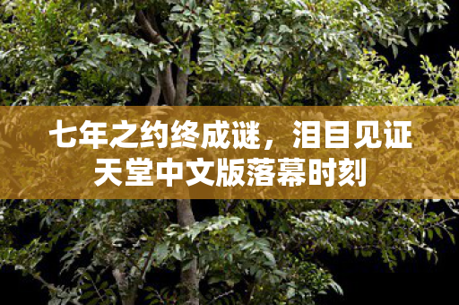七年之约终成谜,泪目见证天堂中文版落幕时刻 七年之约终成谜,泪目见证天堂中文版落幕时刻
