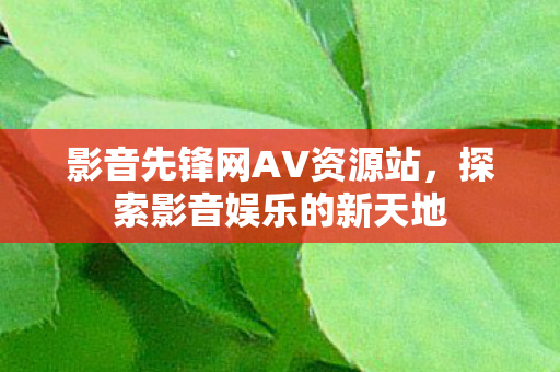影音先锋网AV资源站图片