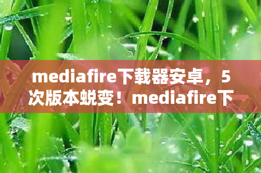 mediafire下载器安卓,5次版本蜕变!mediafire下载工具背后藏着什么惊人秘密? mediafire下载器安卓,5次版本蜕变!mediafire下载工具背后藏着什么惊人秘密?