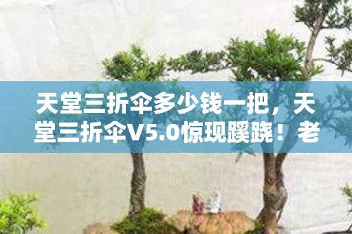 天堂三折伞多少钱一把,天堂三折伞V5.0惊现蹊跷!老玩家集体泪目,这波情怀杀太狠了! 天堂三折伞多少钱一把,天堂三折伞V5.0惊现蹊跷!老玩家集体泪目,这波情怀杀太狠了!