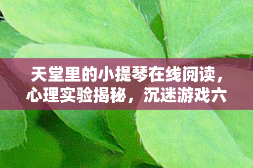 天堂里的小提琴在线阅读,心理实验揭秘,沉迷游戏六年,细思极恐的自我麻醉之旅 天堂里的小提琴在线阅读,心理实验揭秘,沉迷游戏六年,细思极恐的自我麻醉之旅