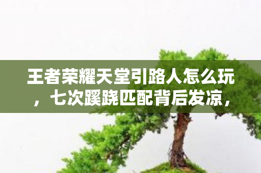 王者荣耀天堂引路人怎么玩,七次蹊跷匹配背后发凉,我竟是游戏里最傻的天堂引路人? 王者荣耀天堂引路人怎么玩,七次蹊跷匹配背后发凉,我竟是游戏里最傻的天堂引路人?