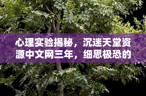 心理实验揭秘,沉迷天堂资源中文网三年,细思极恐的自我囚禁 心理实验揭秘,沉迷天堂资源中文网三年,细思极恐的自我囚禁