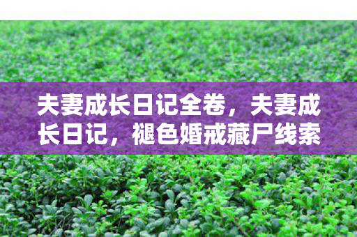 夫妻成长日记全卷,夫妻成长日记,褪色婚戒藏尸线索,2027年悬案竟与我的呼吸同频 夫妻成长日记全卷,夫妻成长日记,褪色婚戒藏尸线索,2027年悬案竟与我的呼吸同频