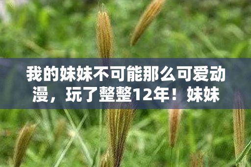 我的妹妹不可能那么可爱动漫,玩了整整12年!妹妹可爱度爆表,我该选现实还是游戏? 我的妹妹不可能那么可爱动漫,玩了整整12年!妹妹可爱度爆表,我该选现实还是游戏?