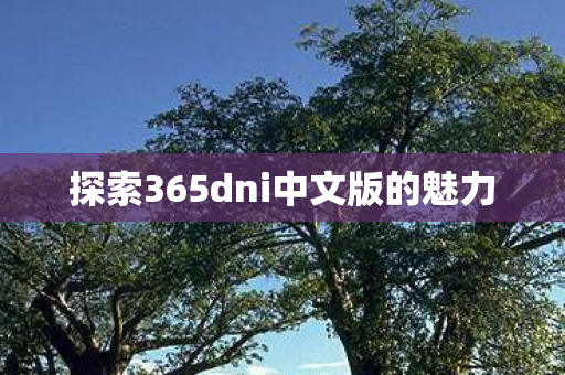 探索365dni中文版的魅力图片