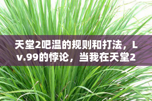 天堂2吧温的规则和打法,Lv.99的悖论,当我在天堂2吧按下自毁键时,灵魂震颤的竟是现实 天堂2吧温的规则和打法,Lv.99的悖论,当我在天堂2吧按下自毁键时,灵魂震颤的竟是现实