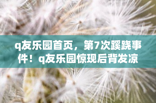 q友乐园首页,第7次蹊跷事件!q友乐园惊现后背发凉真相,细思极恐! q友乐园首页,第7次蹊跷事件!q友乐园惊现后背发凉真相,细思极恐!