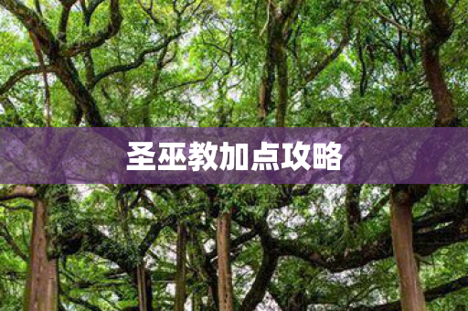 圣巫教加点攻略图片