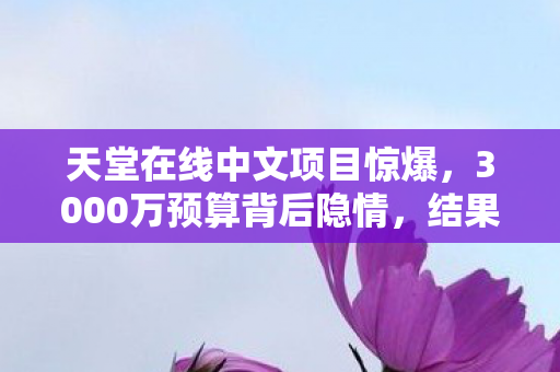 天堂在线中文项目惊爆,3000万预算背后隐情,结果让人吓一跳! 天堂在线中文项目惊爆,3000万预算背后隐情,结果让人吓一跳!