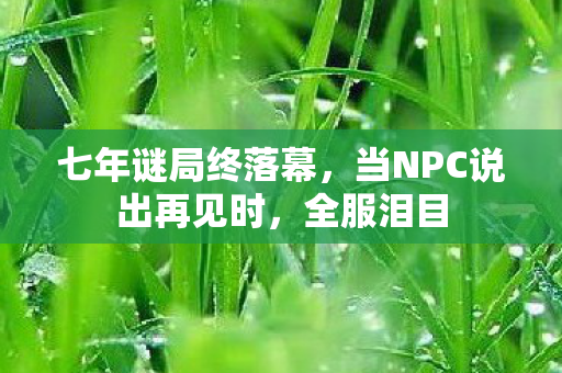 七年谜局终落幕,当NPC说出再见时,全服泪目 七年谜局终落幕,当NPC说出再见时,全服泪目