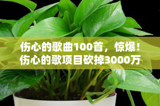 伤心的歌曲100首,惊爆!伤心的歌项目砍掉3000万玩法,背后隐情让人吓一跳! 伤心的歌曲100首,惊爆!伤心的歌项目砍掉3000万玩法,背后隐情让人吓一跳!