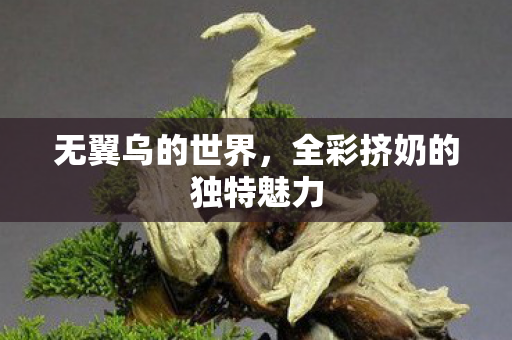 全彩挤奶的独特魅力图片