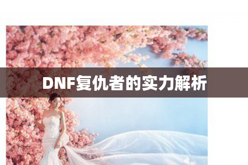 DNF复仇者的实力解析图片