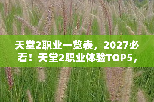 天堂2职业一览表,2027必看!天堂2职业体验TOP5,99%玩家错过的隐藏机制大公开 天堂2职业一览表,2027必看!天堂2职业体验TOP5,99%玩家错过的隐藏机制大公开