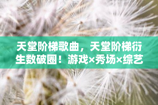 天堂阶梯歌曲,天堂阶梯衍生数破圈!游戏×秀场×综艺×手机壳的意想不到大乱炖 天堂阶梯歌曲,天堂阶梯衍生数破圈!游戏×秀场×综艺×手机壳的意想不到大乱炖