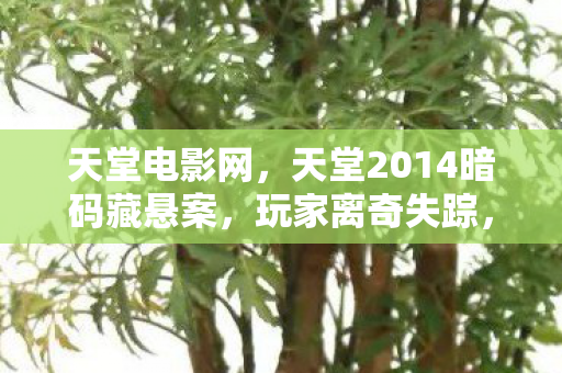 天堂电影网,天堂2014暗码藏悬案,玩家离奇失踪,毛骨悚然真相待解 天堂电影网,天堂2014暗码藏悬案,玩家离奇失踪,毛骨悚然真相待解