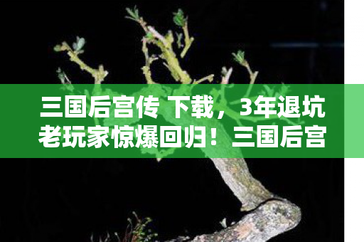三国后宫传 下载,3年退坑老玩家惊爆回归!三国后宫传竟藏着这等惊天反转? 三国后宫传 下载,3年退坑老玩家惊爆回归!三国后宫传竟藏着这等惊天反转?