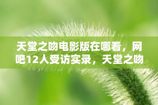 天堂之吻电影版在哪看,网吧12人受访实录,天堂之吻结局疑点重重,谁先绷不住泪洒当场? 天堂之吻电影版在哪看,网吧12人受访实录,天堂之吻结局疑点重重,谁先绷不住泪洒当场?