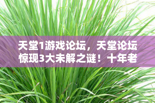 天堂1游戏论坛,天堂论坛惊现3大未解之谜!十年老玩家亲历,真相竟比游戏更荒诞 天堂1游戏论坛,天堂论坛惊现3大未解之谜!十年老玩家亲历,真相竟比游戏更荒诞