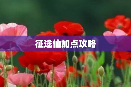 征途仙加点攻略图片