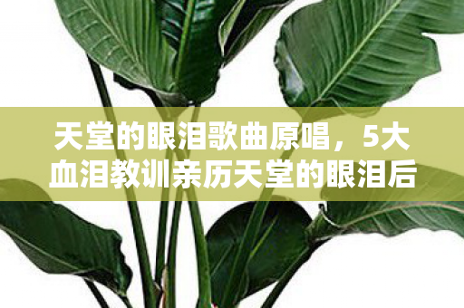 天堂的眼泪歌曲原唱,5大血泪教训亲历天堂的眼泪后,我悟出的避坑生存法则 天堂的眼泪歌曲原唱,5大血泪教训亲历天堂的眼泪后,我悟出的避坑生存法则