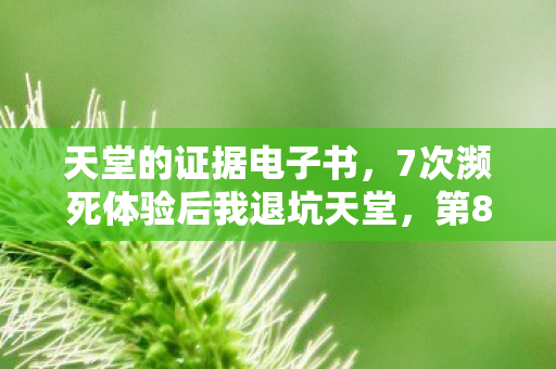 天堂的证据电子书,7次濒死体验后我退坑天堂,第8次竟发现惊天反转证据! 天堂的证据电子书,7次濒死体验后我退坑天堂,第8次竟发现惊天反转证据!