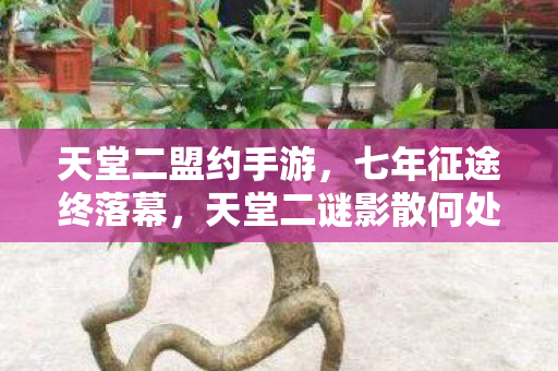 天堂二盟约手游,七年征途终落幕,天堂二谜影散何处?泪目见证兴衰史 天堂二盟约手游,七年征途终落幕,天堂二谜影散何处?泪目见证兴衰史