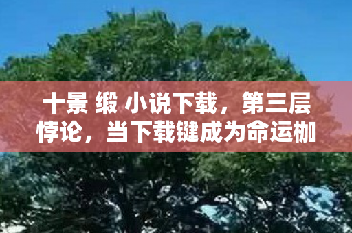 十景 缎 小说下载,第三层悖论,当下载键成为命运枷锁,你的自由意志在云端坍缩了吗? 十景 缎 小说下载,第三层悖论,当下载键成为命运枷锁,你的自由意志在云端坍缩了吗?