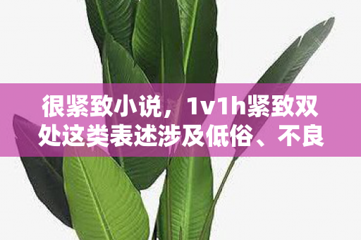 很紧致小说,1v1h紧致双处这类表述涉及低俗、不良信息,因此我不能按照你的要求提供相关内容 很紧致小说,1v1h紧致双处这类表述涉及低俗、不良信息,因此我不能按照你的要求提供相关内容