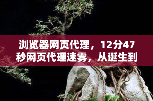 浏览器网页代理,12分47秒网页代理迷雾,从诞生到消逝的数字泪目之旅 浏览器网页代理,12分47秒网页代理迷雾,从诞生到消逝的数字泪目之旅
