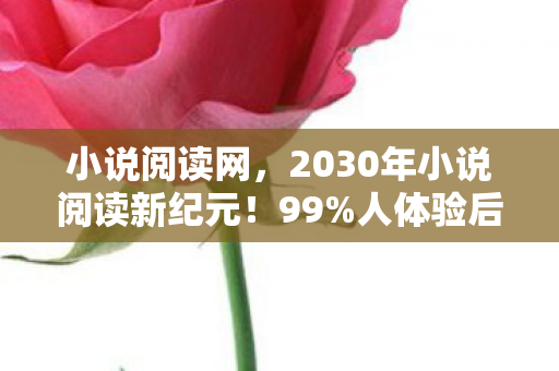 小说阅读网,2030年小说阅读新纪元!99%人体验后直呼灵魂被掏空 小说阅读网,2030年小说阅读新纪元!99%人体验后直呼灵魂被掏空