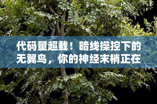 代码量超载!暗线操控下的无翼鸟,你的神经末梢正在头皮发麻 代码量超载!暗线操控下的无翼鸟,你的神经末梢正在头皮发麻