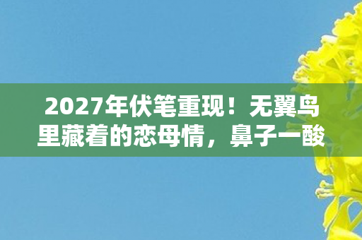 2027年伏笔重现!无翼鸟里藏着的恋母情,鼻子一酸忆旧人 2027年伏笔重现!无翼鸟里藏着的恋母情,鼻子一酸忆旧人