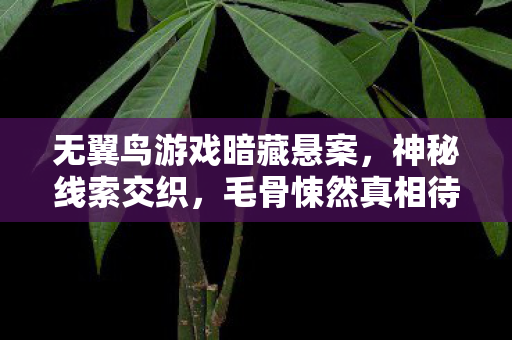 无翼鸟游戏暗藏悬案,神秘线索交织,毛骨悚然真相待揭 无翼鸟游戏暗藏悬案,神秘线索交织,毛骨悚然真相待揭