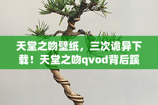 天堂之吻壁纸，三次诡异下载！天堂之吻qvod背后蹊跷，真相让人后背发凉