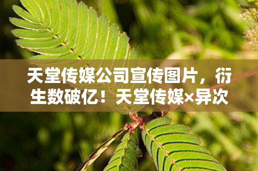 天堂传媒公司宣传图片，衍生数破亿！天堂传媒×异次元破圈联动，意想不到的跨次元狂欢！