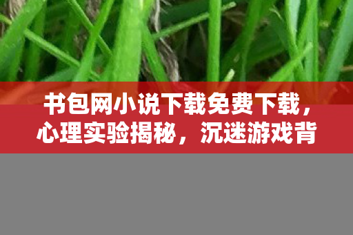 书包网小说下载免费下载，心理实验揭秘，沉迷游戏背后的细思极恐自我麻醉真相